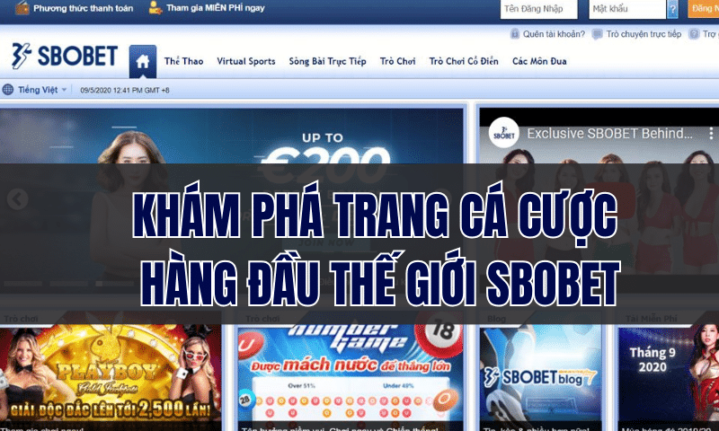 Khám phá trang cá cược hàng đầu thế giới SBOBET